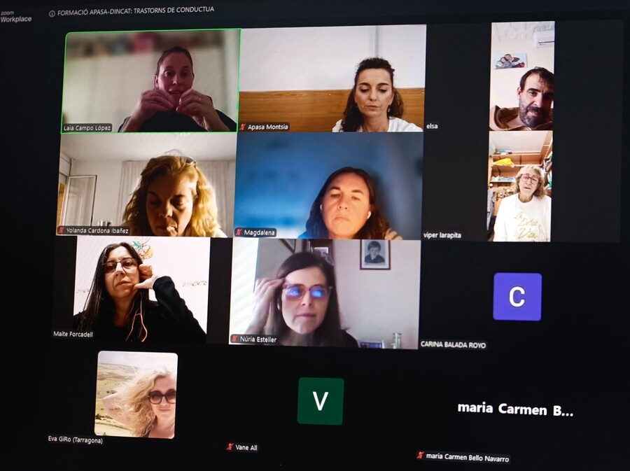 Interfaç de videotrucada de la formació online l'Escola de Famílies de Dincat amb membres i famílies d'APASA